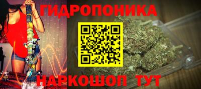 PSILOCYBIN Гусиноозёрск