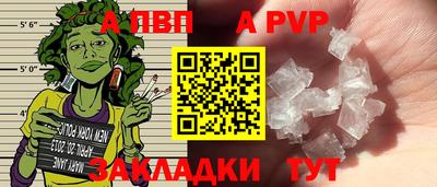 амф Гусев