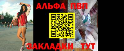амф Гусев