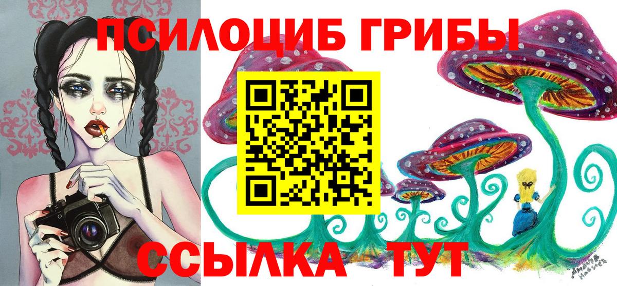 Гусь-Хрустальный  Псилоцибиновые грибы Cubensis  Вход с VPN  Галлюциногенные грибы мицелий 